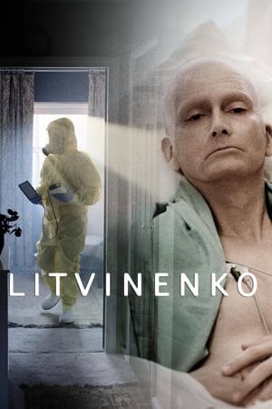 Ver Litvinenko