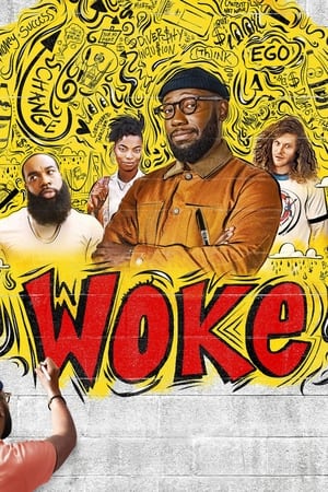 Ver Woke